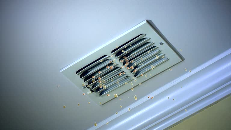 Best Air Duct Cleaning Company Near Me  in Harkers Island, NC